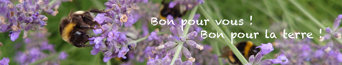 Bon pour Vous - Bon pour la terre Bon pour Vous - Bon pour la terre